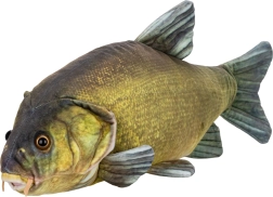 Plyšový lieň 50 cm