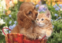 Puzzle maxi 104 dielikov Roztomilí kamaráti CLEMENTONI