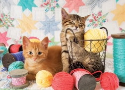 Puzzle Hebké Klbká 1000 dielikov