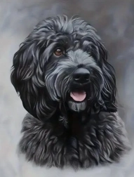 Diamantové maľovanie čierny cockapoo 30 × 40 cm
