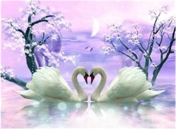 diamantové maľovanie Labutia láska 30 × 40 cm