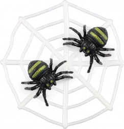 Pavučina s pavúkmi