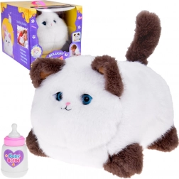 Interaktívna mačička Puszek - mňauká, pradie a hýbe očkami