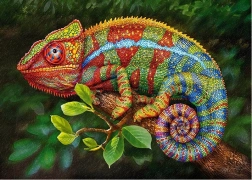 Puzzle Chameleon Cherry Pazzi 1000 dielikov