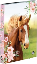 Box na zošity A5 s motívom koní