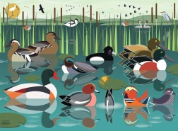 Puzzle vodné vtáky 500 dielikov