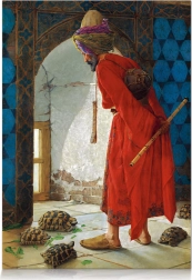 STAR puzzle cvičiteľ korytnačiek – 1000 dielikov