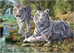 Puzzle Biele Tigre 1000 Dielikov – Tajná Kolekcia od Dino