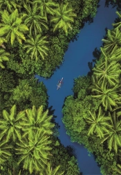 Puzzle s tropickým pohľadom z vtáčej perspektívy