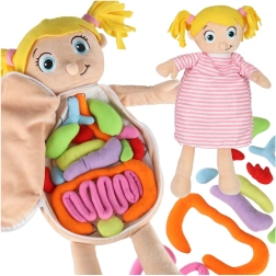 Plyšová anatomická bábika pre deti Montessori