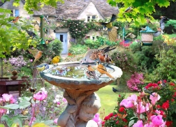 Puzzle Letné vtáctvo 1000 dielikov