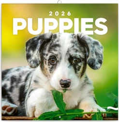 Poznámkový kalendár Šteniatka 2026