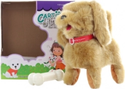 Hnedý psík na kábli s ovládačom