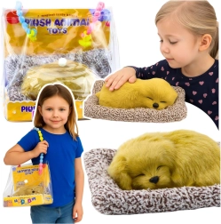 Spiace šteniatko labradora na vankúšiku s chlpatou kožušinkou v prenosnej taške