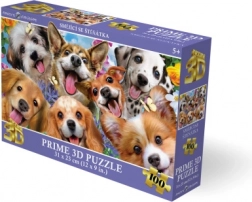 3D puzzle Usmiate šteniatka 100 dielikov