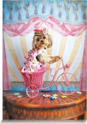 Puzzle Snílok cestovateľ 500 dielikov