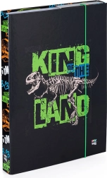 Box na zošity A4 Premium dinosaurus