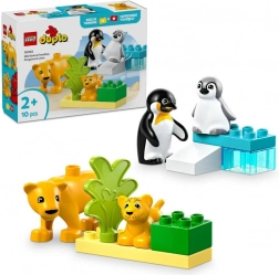 LEGO DUPLO rodiny divokých zvierat: tučniaky a levy