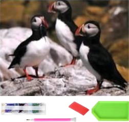 Diamantové maľovanie XXL 120 × 60 cm – maskonôsy, sada na mozaiku