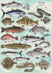 Puzzle TREFL Premium Plus Finders Keepers: ryby 500 dielikov