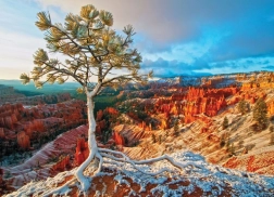 Puzzle EUROGRAPHICS zimné svitanie, Bryce Canyon (1000 dielikov)