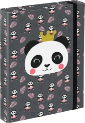Dosky na školské zošity A5 Panda