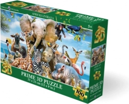 3D puzzle Africký úsmev 63 dielikov