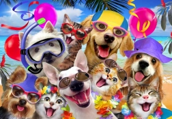 Alipson Puzzle Selfie Plážová párty 1000 dielikov