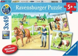 Ravensburger puzzle Deň u koní 3×49 dielikov