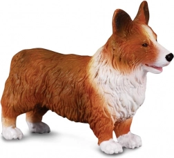 Figúrka Welsh Corgi od CollectA