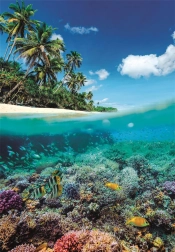 Puzzle Letný raj 1000 dielikov od Clementoni