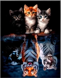 Diamantové maľovanie – mačky a šelmy 30 × 40 cm