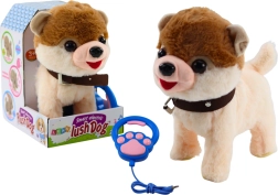 Interaktívny psík na vodítku