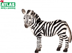 Figúrka zebra 10 cm
