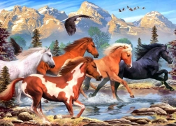 Puzzle ALIPSON Divokí a slobodní 500 dielikov