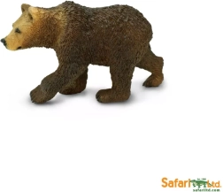 Medveď grizly – mláďa