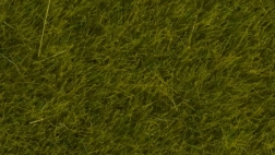 Statická tráva Divoká lúka 6 mm