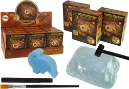 Vykopávky starovekých tvorov – prekvapenie amonit