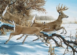 COBBLE HILL puzzle Útek – 1000 dielikov