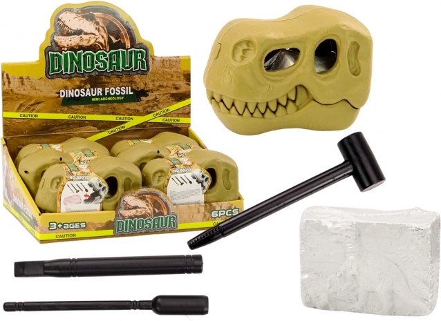 Archeologické vykopávky Dinosauří skameneliny Lebka