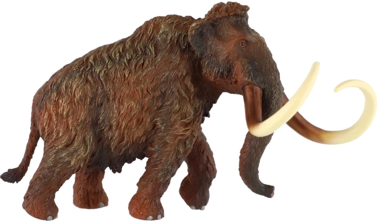 Verná textúra a farebnosť