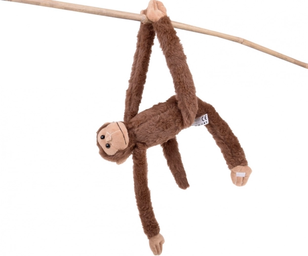 Lepiace tlapky pre nekonečnú zábavu