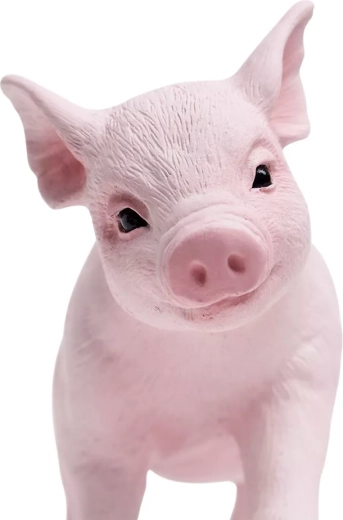 Ideálna veľkosť do detskej ruky aj do zbierky