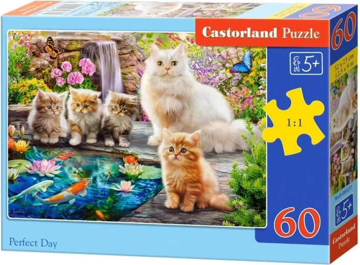Castorland puzzle Perfektný deň 60 dielikov