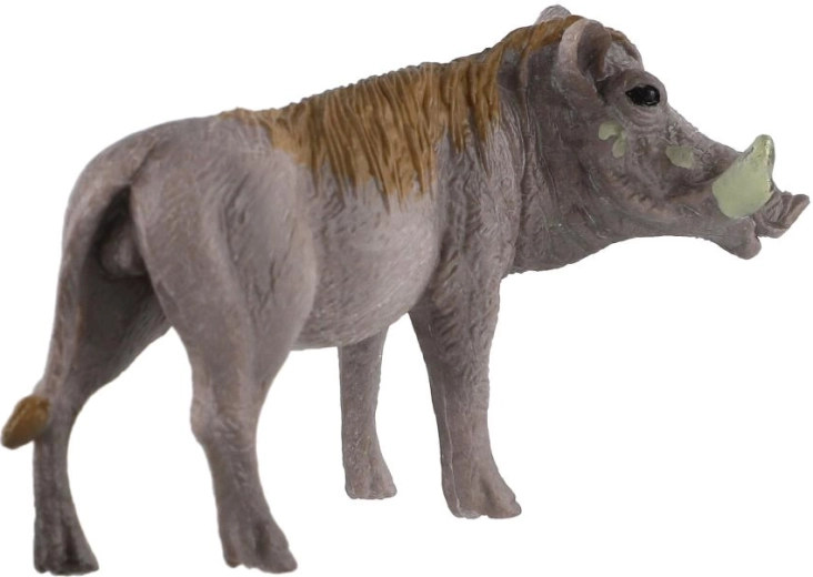 Spoznávanie africkej fauny