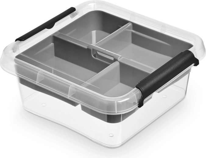 Simplestore INSERT úložný box s vekom 2 l
