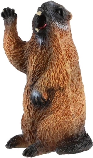 Realistický motív svišťa