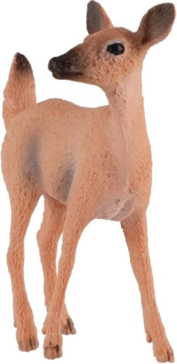 Kompaktná veľkosť