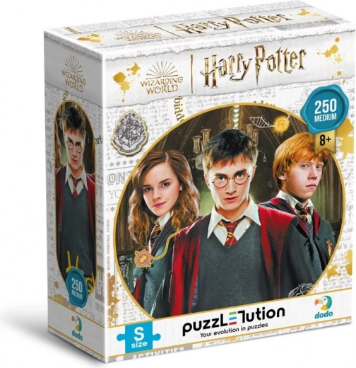Puzzle DODO Harry Potter: Harry, Ron a Hermiona 250 dielikov