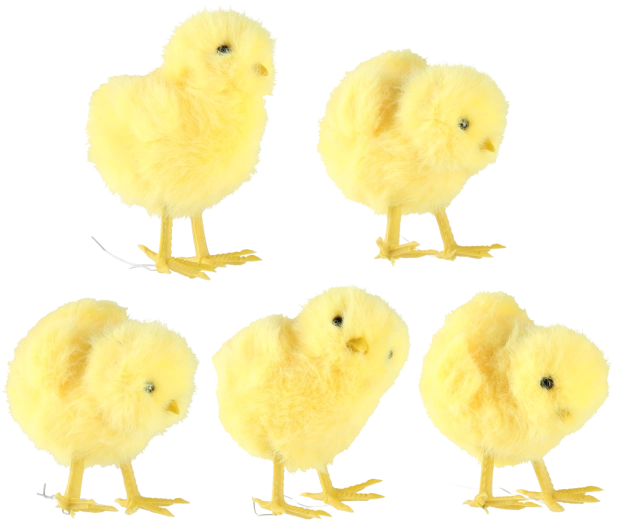 Sada 10 kusov v 5 dizajnoch